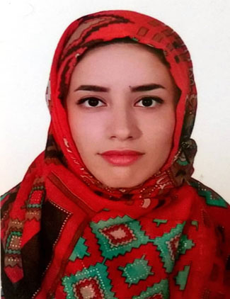 مریم حمزه لو