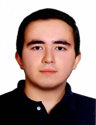 امیرحسین حقیقت