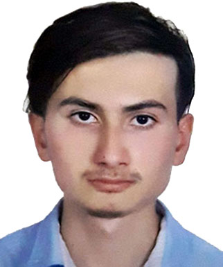 هیمن شامحمدی