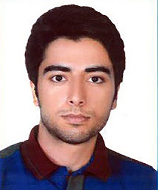 علیرضا هاتفی اردکانی