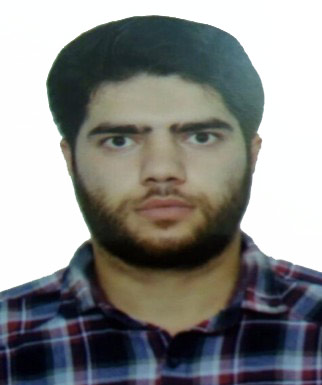 محمدعلی محمدی