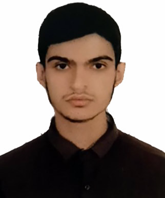 مهدی دانای سیوکی