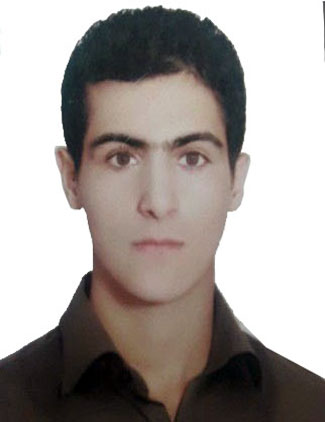 حسین ولی پور بیرانوند