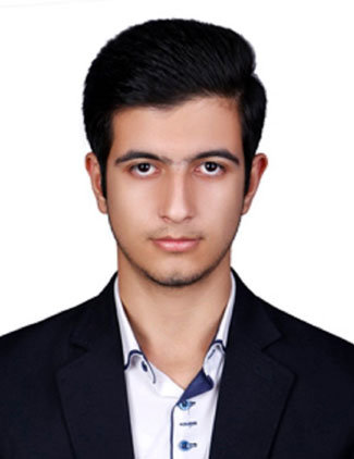 حسین پایداری نسب